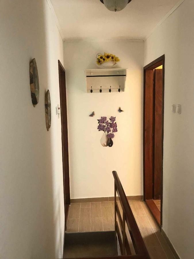 Apartma Evi Zaga 외부 사진